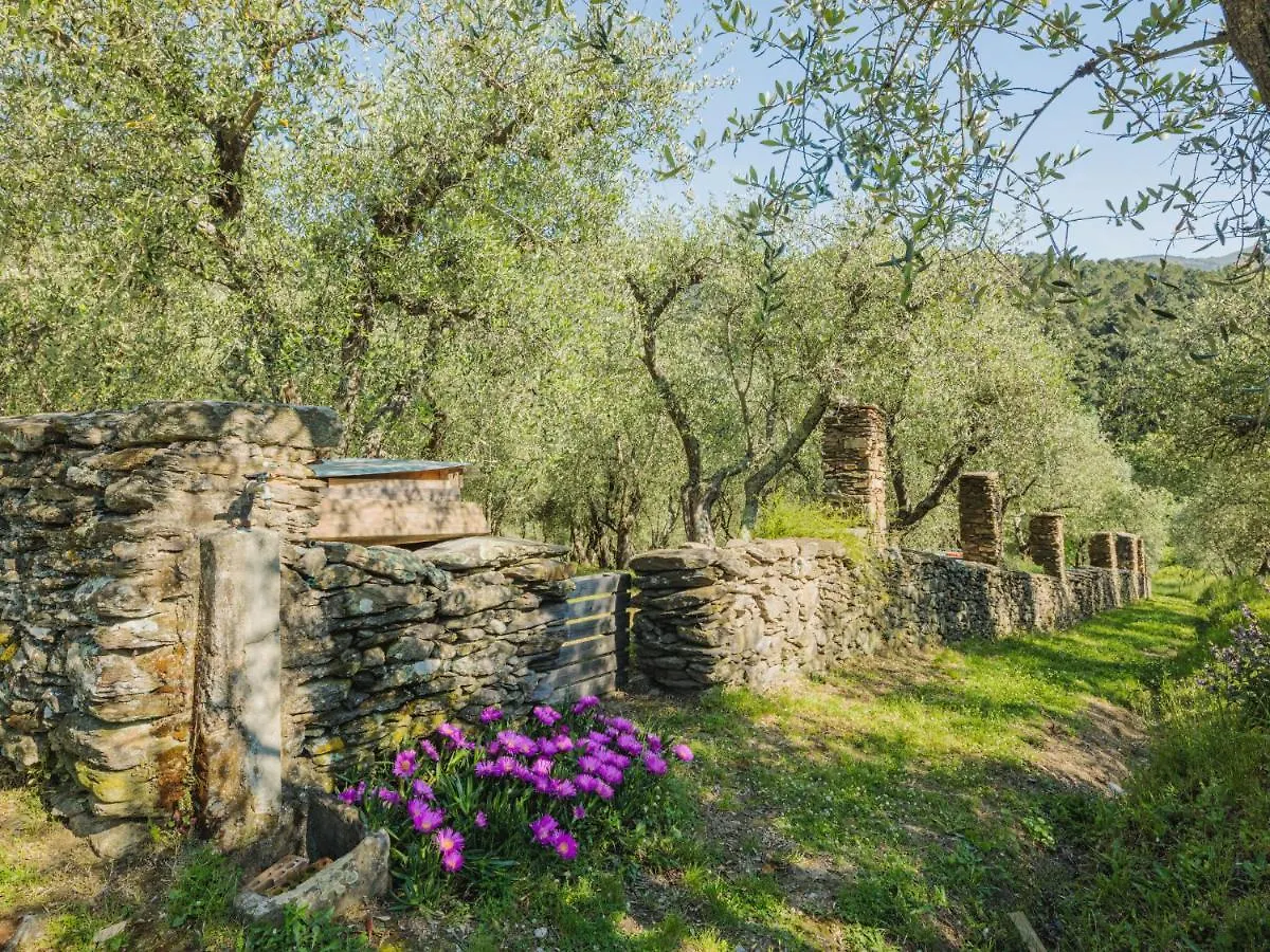 Holiday Home Italia By Interhome Vorno